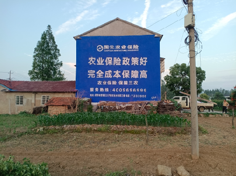 安吉墙体广告的优劣势你知道吗?